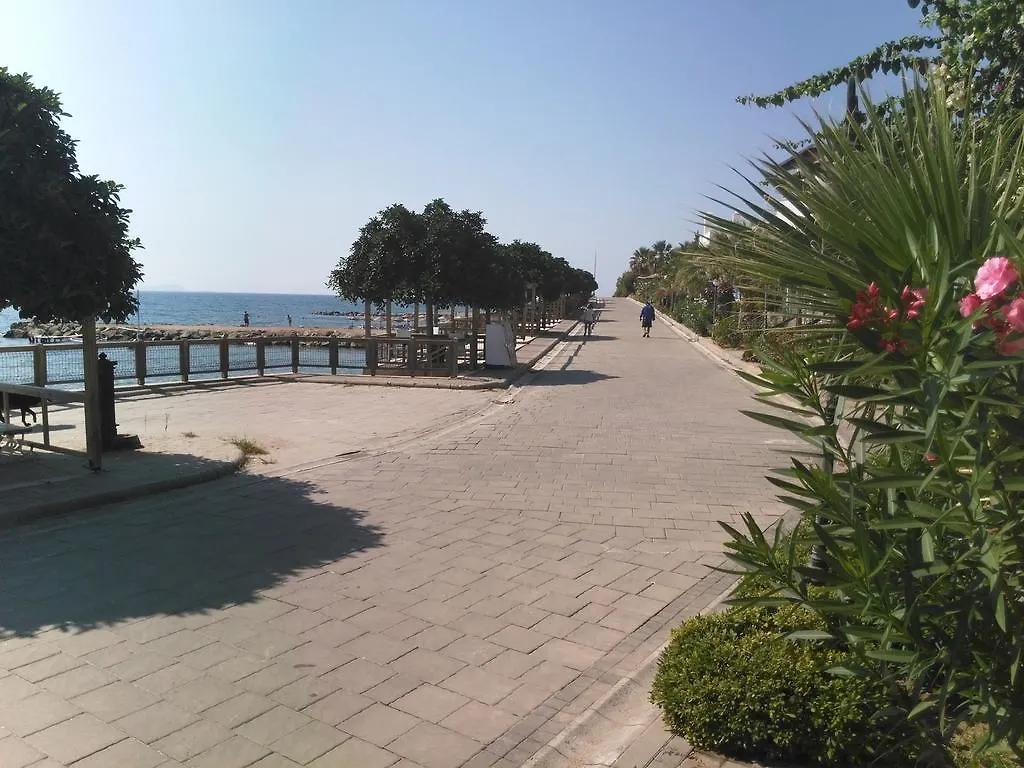 Cemre Hotel Turgutreis 2*,